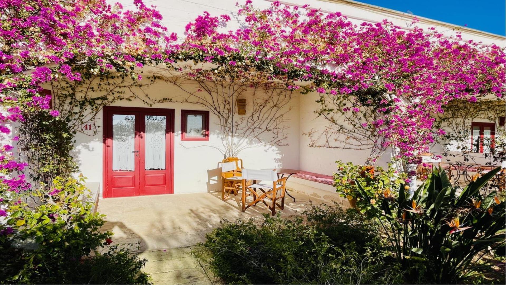 Masseria Torre Coccaro公司