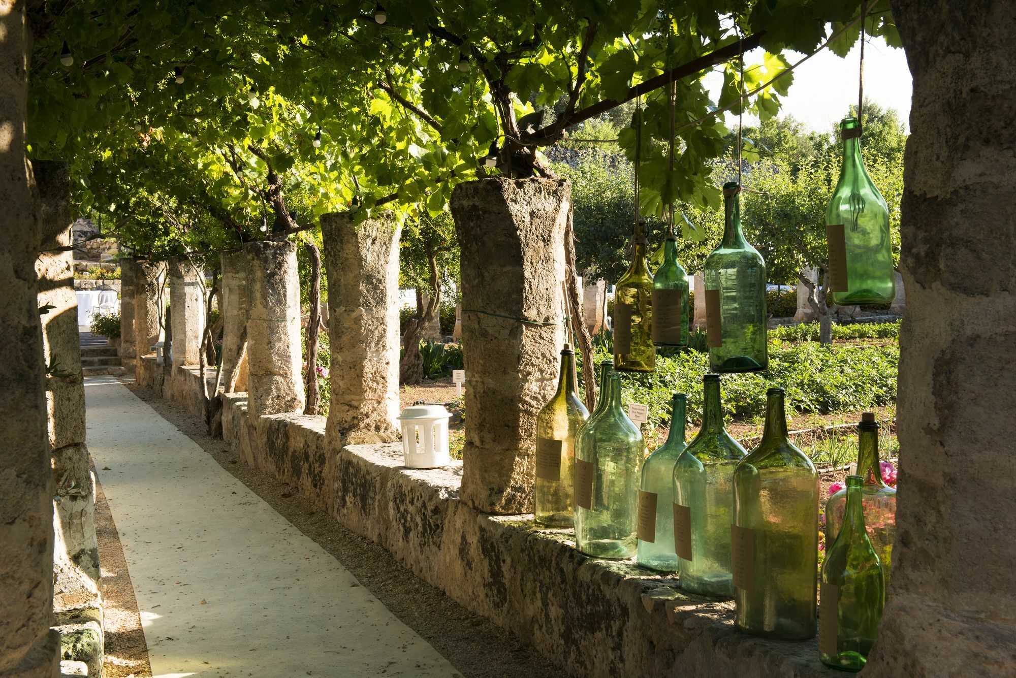 Masseria Torre Coccaro 5*Savelletri公司